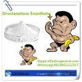 472-61-145 Bodybuilding Steroid Hormone Powder Drostanolone Enanthate